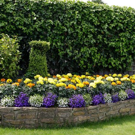 Rosemount B&B Dundalk Eksteriør billede