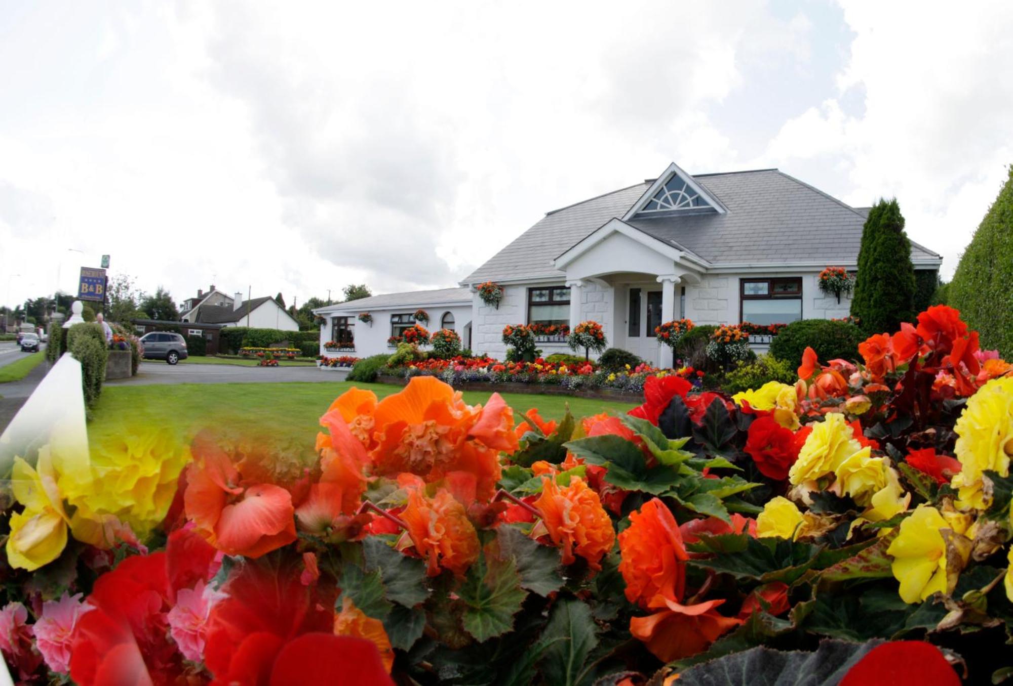 Rosemount B&B Dundalk Eksteriør billede