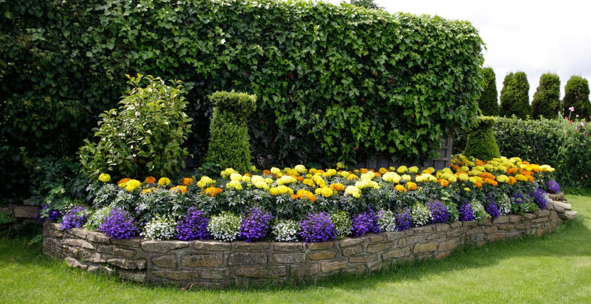 Rosemount B&B Dundalk Eksteriør billede