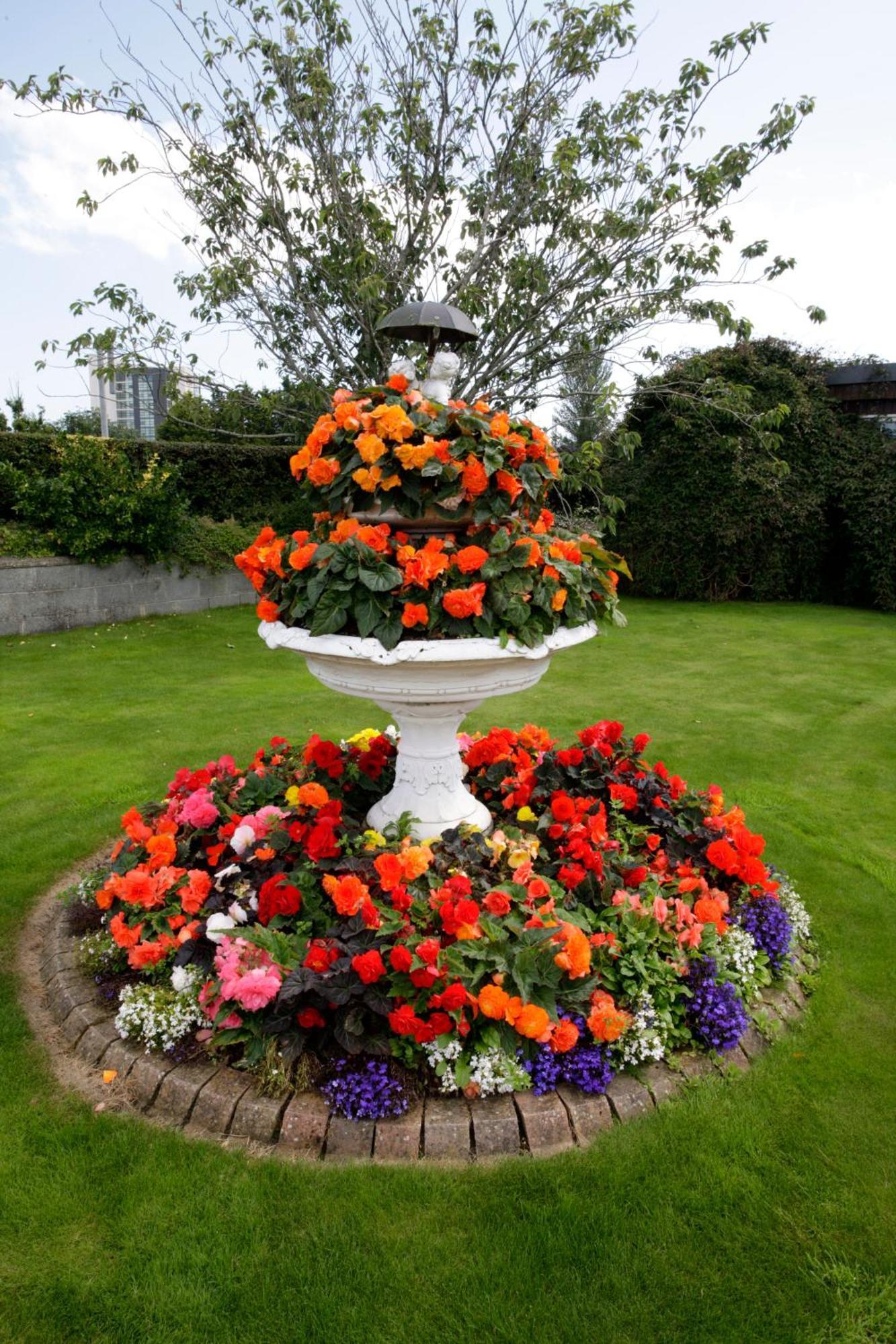 Rosemount B&B Dundalk Eksteriør billede